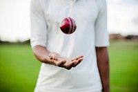 Cricket player ready to throw the ball