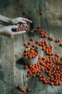 Woman taking photos of red cherry tomatoes