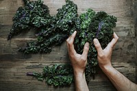 Closeup of fresh green kale