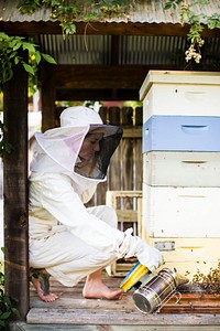 Beekeeper with her bee hives