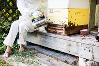 Beekeeper with her bee hives