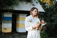 Beekeeper with the smoker and her bee hives