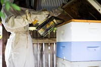 Beekeeper with her bee hives