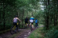Group of cyclists riding through the forest