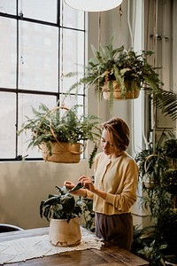 Woman taking care of her plants in a glasshouse