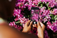 Black woman capturing a photo of pink bougainvillea