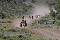Dust flies during a jingle, or roundup of horses, on the A Bar A Guest Ranch, near the town of Riverside in Carbon County, Wyoming.