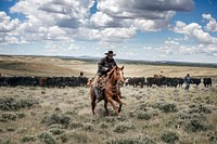 Cowhand Chad Ferguson works the herd at the Ladder Livestock Ranch&#39;s cattle operation in Moffat County, Colorado, immediately below the Wyoming border.