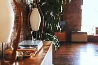 Mid century modern decorated loft style apartment