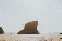 Woman and her dog playing at the beach