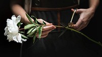Florist cutting the stem of a white flower