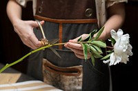 Florist cutting the stem of a white flower