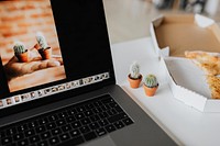 Cute tiny cacti next to a laptop