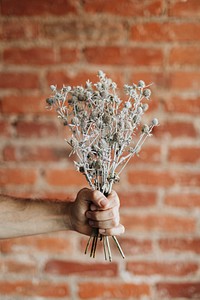 Man holding a bouquet of  dried blue thistle