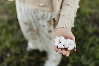 Cotton flowers on a woman&#39;s hand