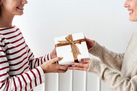 Blond girl giving a Christmas present to her friend