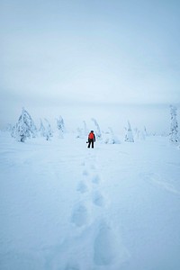 Woman trekking through the snow in  Lapland, Finland