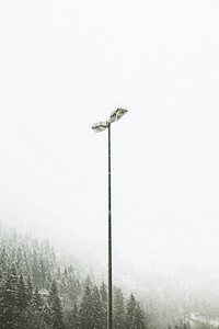 Snow covered forests in Germany during winter