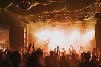 Fans cheering in a concert 