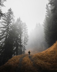 Man walking in the misty woods in the Dolomites