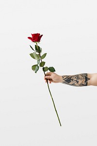 Tattooed hand with a rose 