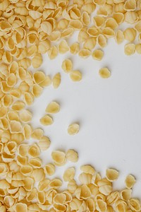 Raw conchiglie rigate pasta on white background
