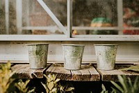 Plant pots on rustic wooden table