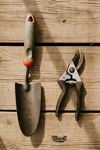 Gardening scissors and trowel on a wooden background flatlay