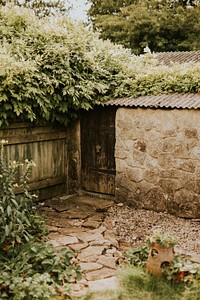 Small backyard home garden in summer