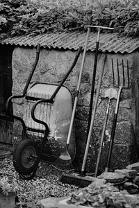 Black and white small backyard home garden with tools