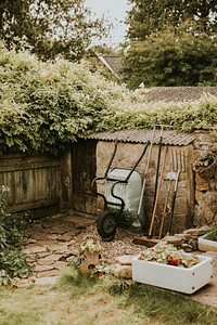 Small backyard home garden with tools