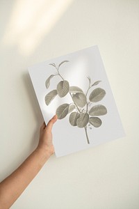 Paper poster psd in a hand