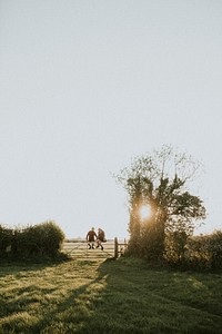 Hipster couple sitting on a gate together in the countryside