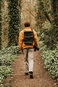 Photographer walking in the woods  rearview