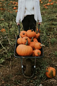 Halloween pumpkins in a wheelbarrow dark autumn mood