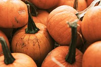 Halloween pumpkin pile close up background