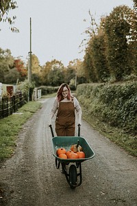 Halloween pumpkins in a wheelbarrow dark autumn mood