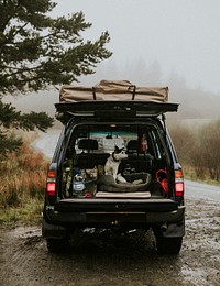 Pet dog in a car for the road trip in the mountains