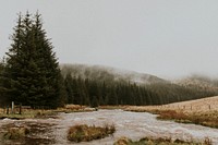 Water stream in a mountain landscape