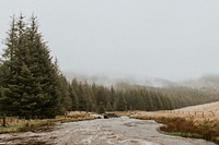 Car stuck in a stream waiting for rescue