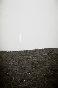 Barren field landscape in black and white