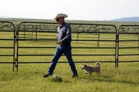 Ranch manager Mark Dunning strides the property in the company of the ever-present ranch mascot, Tater, at the Big Creek cattle ranch, a large spread on the Colorado border near Riverside in Carbon County, Wyoming.