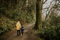 Mother walking with her daughter in the forest rear view