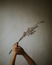 Aesthetic hands with flowers, beige background