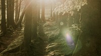 Magical forest computer wallpaper, Fairy Pools at Isle of Skye, Scotland