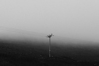 Minimalist moody sky background, foggy day in Scotland