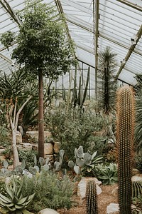 Plant greenhouse retro film grain, in Kew Garden, London