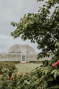 Kew garden, London aesthetic moody photography