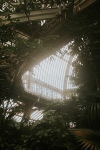 Botanical garden moody greenhouse nature photo