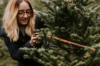 Woman sawing a Christmas tree at a Christmas tree farm 